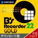B's Recorder GOLD 22 [ загрузка версия ]