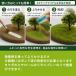 �W�I���} �� �Ő��p�E�_�[ 25�� 10�F �Ő� ���� �͌^ �p�E�_�[ �l�G�i�t�ďH�~�jtakeda �Ő���\�������p�E�_�[ �Ő� �� ���� �q�� �� �͌^ �S�� �S���͌^ �֘A�摜1