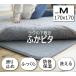  under bed rug mat ......pita size 170×170cm 2 tatami for M size rug rug mat s rumen e floor heating hot carpet correspondence thick extremely thick heat insulation carpet 