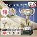 cup победа награждение для сувенир A размер высота 26.5cm× калибр 12.5cm самая низкая цена скульптура плата бесплатный ci-1050