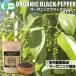  органический черный перец 100g иметь машина JAS чёрный koshou отверстие черный перец чёрный ......SPANION. покупка 