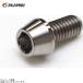 GALE SPEED Gale Speed SC0610012 titanium конус болт M6xP1.0 12mm(L)