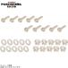 POSHposhu990520 экран винт ( поли машина bone-to)(10 штук )M5X20mm CLEAR