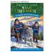 [ иностранная книга ]yuki леопард. ....( Magic * tree house серии 36 шт ) [ Mary -* Poe p* oz bo-n/ иллюстрации :AG Ford ]