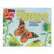 [ иностранная книга ]a Homme si из бабочка .[tebola* высокий lig man / шероховатость * wise man ] From Caterpillar to Butterfly [Deborah Heiligman, Bari Weissman]