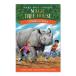 [ иностранная книга ] Safari * Tour. большой приключение [ Mary -* Poe p* oz bo-n/ иллюстрации :AG Ford ] Rhinos at Recess
