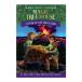 [ иностранная книга ] Galapagos остров большой . огонь [ Mary -* Poe p* oz bo-n/ иллюстрации :AG Ford ] Time of the Turtle King