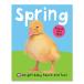 [ иностранная книга ] яркий baby Touch &amp;fi-ru весна [ Roger *pliti] Bright Baby Touch and Feel Spring [Roger Priddy] книга с картинками 