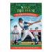 [ иностранная книга ]. номер 42. герой [ Mary -* Poe p* oz bo-n/ иллюстрации :AG Ford ] A Big Day for Baseball