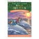 [ иностранная книга ] ночь открытие. дельфин ( Magic * tree house серии 9 шт ) [ Mary -* Poe p* oz bo-n/ иллюстрации : обезьяна *ma-doka] Dolphins at Daybreak