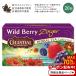  selection  автомобиль ru She's человек gs wild Berry Gin ga- травяной чай чайный пакетик 20.47g (1.7 OZ) Celestial Seasonings Wild Berry Zinger
