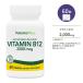[ в Японии не продается ] nature z плюс витамин B12 2000mcgsa stain do Release планшет 60 шарик NaturesPlus Vitamin B12 2000 mcg Sustained Release Tablets