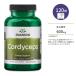 [ купон есть ]s one sonko Rudy seps( зима насекомое лето .) 600mg Capsule 120 шарик Swanson Cordyceps энергия поддержка . сила 