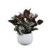  ваш заказ [woru mart бренд ] основной стойка z человеческий труд ivy примерно 25cm белый керамика pot Mainstays 9.75inch Artifici