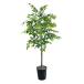  ваш заказ [woru mart бренд ] основной стойка z человеческий труд fi rental tree примерно 183cm черный en Boss metal горшок Mainstays Artificial Tre