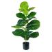  ваш заказ [woru mart бренд ] основной стойка z человеческий труд Fiddle leaf fig план to примерно 101cm черный pot Mainstays Artificial P