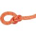  Mammut MAMMUT 9.8CRAGCLASSICROPE60M трос одиночный высокий King треккинг climbing альпинизм круговой Classic 2010-05860 201005