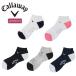  Callaway Golf женский носки лет стандартный лодыжка носки Callaway Golf C25993200[ почтовая отправка рассылка ][2025 год модели ]