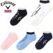 Callaway Golf женский носки одежда season Logo лодыжка носки (WOMENS) Callaway Golf C26193201[2026 год весна лето модель ][ почтовая отправка рассылка ]