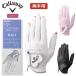  Callaway Golf перчатка Callaway ногти двойной перчатка wi мужской 25 JM( обе рука для )Callaway NAIL DUAL WMS GLOVE 25 JM[ почтовая отправка рассылка ]
