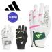  правый рука для Adidas Golf перчатка код Chaos перчатка 24 мужской зеркальный tiadidas JTY37 [ почтовая доставка рассылка ]