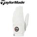  TaylorMade Golf перчатка sin Fit перчатка левый рука для мужской TaylorMade Golf TL930 [ почтовая отправка рассылка ]