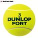 DUNLOP Dunlop теннис мяч JUMBO BALL jumbo мяч сувенир украшение 