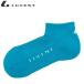 15%OFF LUCENT[ lucent ] soft теннис носки ( очень короткий ) носки мужской для :25~28cm [XLN1927 1 пара до почтовая доставка OK