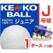 �i�K�Z �P���R�[ J�� 1�_�[�X ��싅�{�[�� ���w���p ���F�� ������ 16JBR121
