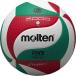 moru ton (molten)f squirrel ta Tec volleyball official approved ball 5 number lamp V5M5000