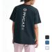 RVCA Roo ka мужской морской Surf одежда tops Surf футболка Rush Guard RVCA STRAIGHT WAY BG041857 [2026SS]
