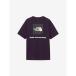  The * North * лицо THE NORTH FACE мужской треккинг короткий рукав футболка S/S BANDANA SQUARE LOGO TEE NT32446 ED [2026SS]