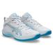  Asics ASICS мужской женский баскетбол обувь GELHOOP V17 1063A111 101 [2026SS]