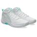 asics/ Asics флора shu(1063A122-100)