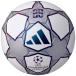 adidas/ Adidas fina-re25 годовщина Lee grusia-da5 номер лампочка (ADF541TF)