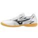 (21%OFF)Mizuno/ Mizuno mona Lucida Neo 3 Club IN(P1GF262709)