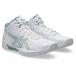 asics Asics GELHOOP V16 баскетбол обувь 1063A078-105(WHITE/LIGHT STEEL)