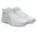 asics Asics FLOWRUSH женский баскетбол обувь 1063A122-100(White/Pure Silver)