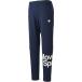  Descente DESCENTE cuatro сенсор длинные брюки мужской DMMPJG21 NV