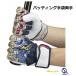  Mizuno Pro перчатки подающего обе рука 26 год DREAM PACK batting перчатки motion arc UF ограничение 1EJEA57014