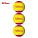 [ в тот же день отгрузка ]Wilson Wilson [STARTER EASY BALL RED стартер * легкий * мяч красный WRT137001] Junior мяч теннис мяч 