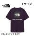  North Face мужской ED-L размер Short рукав бандана квадратное Logo чай Endless dask короткий рукав футболка скорость .NT32446 бандана квадратное Logo L