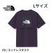  North Face мужской ED-L размер Short рукав задний квадратное Traverse Logo чай Endless dask короткий рукав футболка задний квадратное Traverse Logo L