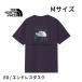  North Face мужской ED-M размер Short рукав задний квадратное Traverse Logo чай Endless dask короткий рукав футболка задний квадратное Traverse Logo M