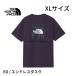  North Face мужской ED-XL размер Short рукав задний квадратное Traverse Logo чай Endless dask короткий рукав футболка задний квадратное Traverse Logo XL