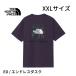  North Face мужской ED-XXL размер Short рукав задний квадратное Traverse Logo чай Endless dask короткий рукав футболка задний квадратное Traverse Logo XXL