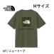  North Face мужской NT-M размер Short рукав задний квадратное Traverse Logo чай новый тауп короткий рукав футболка скорость . задний квадратное Traverse Logo M