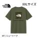  North Face мужской NT-XXL размер Short рукав задний квадратное Traverse Logo чай 3L новый тауп короткий рукав футболка задний квадратное Traverse Logo XXL