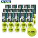  Yonex YONEX теннис мяч Champion sip1 коробка 60 лампочка /5 дюжина CHAMPIONSHIP TB-CHS4