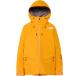  The * North * лицо RTG Gore-Tex жакет мужской knock наружный orange NS62525-KO